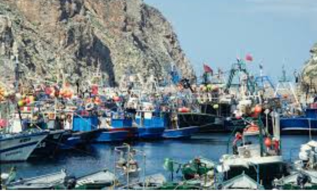 فساد ونهب ورشى داخل ميناء الحسيمة بطلاه مندوبية الصيد والمكتب الوطني للصيد