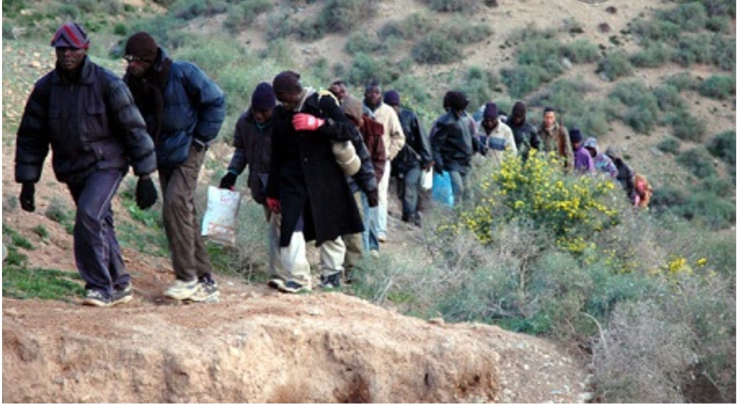 توقيف 15 مهاجرا في غابات الناظور بعد مواجهات عنيفة مع القوات المساعدة والشرطة قرب سياج مليلية