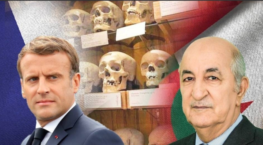 ليبيراسيون:   باتفاق مع نظام الكابرانات … فرنسا تقرض جماجم لصوص إلى الجزائر لخمس سنوات قبل أن تعيدهم إلى متحف باريس!