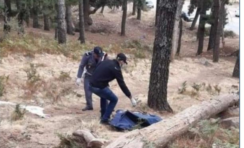 العثور على جثة شخص أربعيني نهشتها الكلاب ضواحي شفشاون