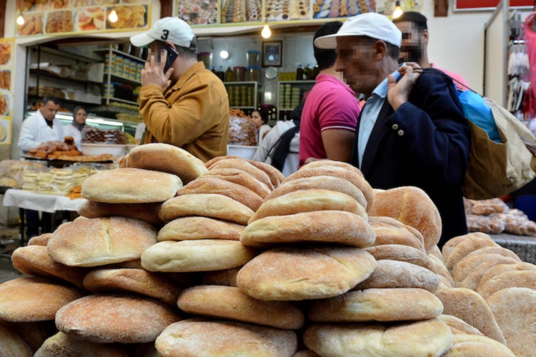 القمح يحلق بفاتورة الغذاء المستورد عاليا