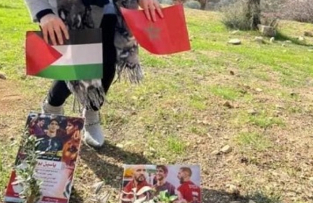 شجرتي ويتون في قلب القدس بإسم الحارس المغربي العملاق بونو والثانية بإسم أسود الأطلس