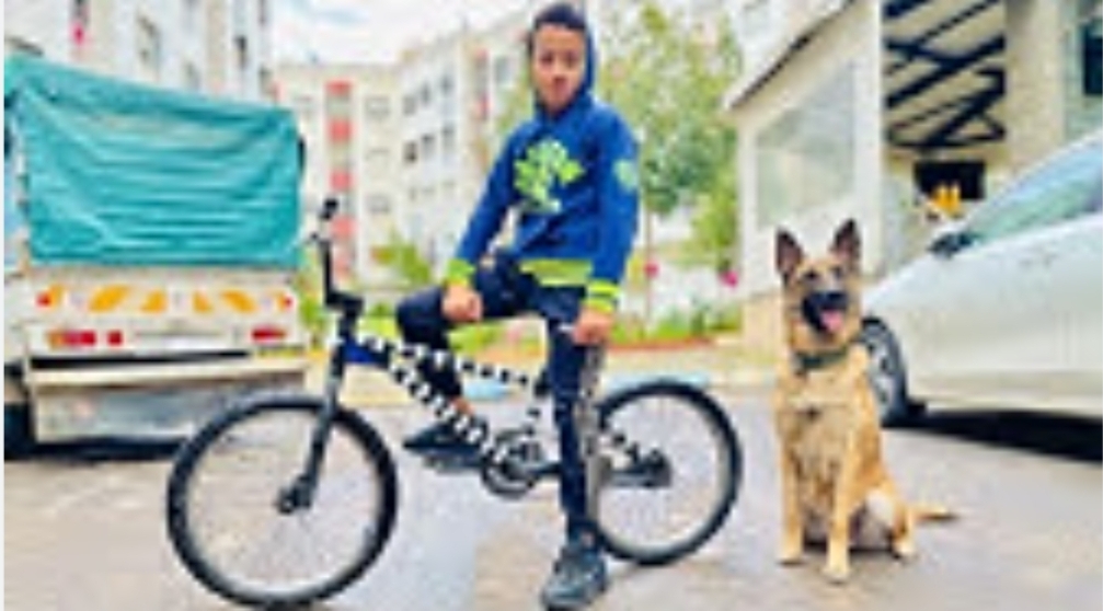 “مول الكلب” و “أمينة” فيلمان مغربيان يحصلان على دعم مالي كبير من السعودية