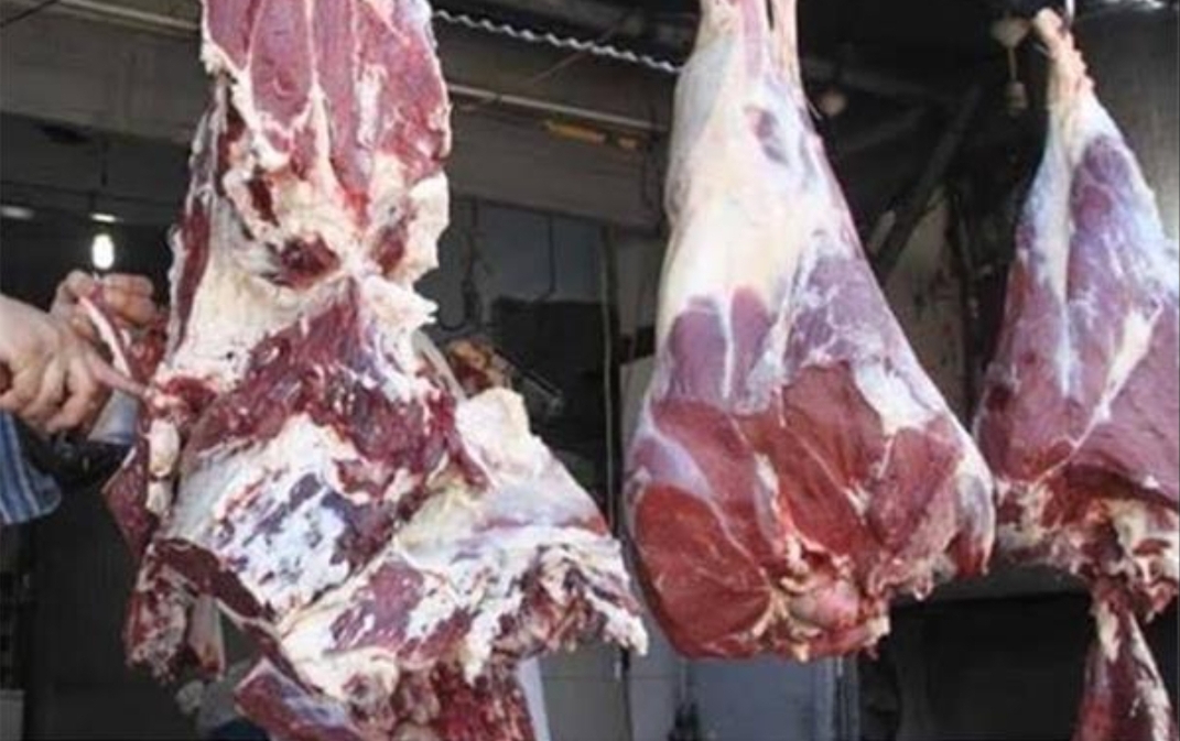 الحكومة المغربية تقرر مضاعفة إستيراد العجول لكبح جماح إرتفاع أسعار اللحوم