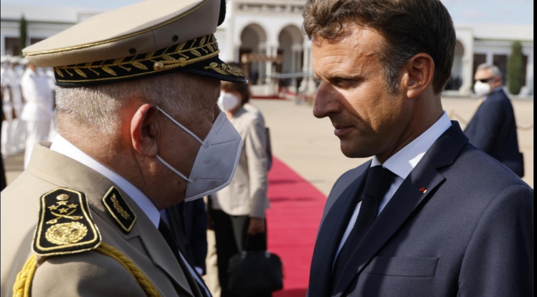 بالفيديو :    نجل الكابران “شنقريحة” حاكم الجزائر يعلن زواجه من “مواطن” فرنسي ويستنجد بحكومة “ماكرون” لحمايته
