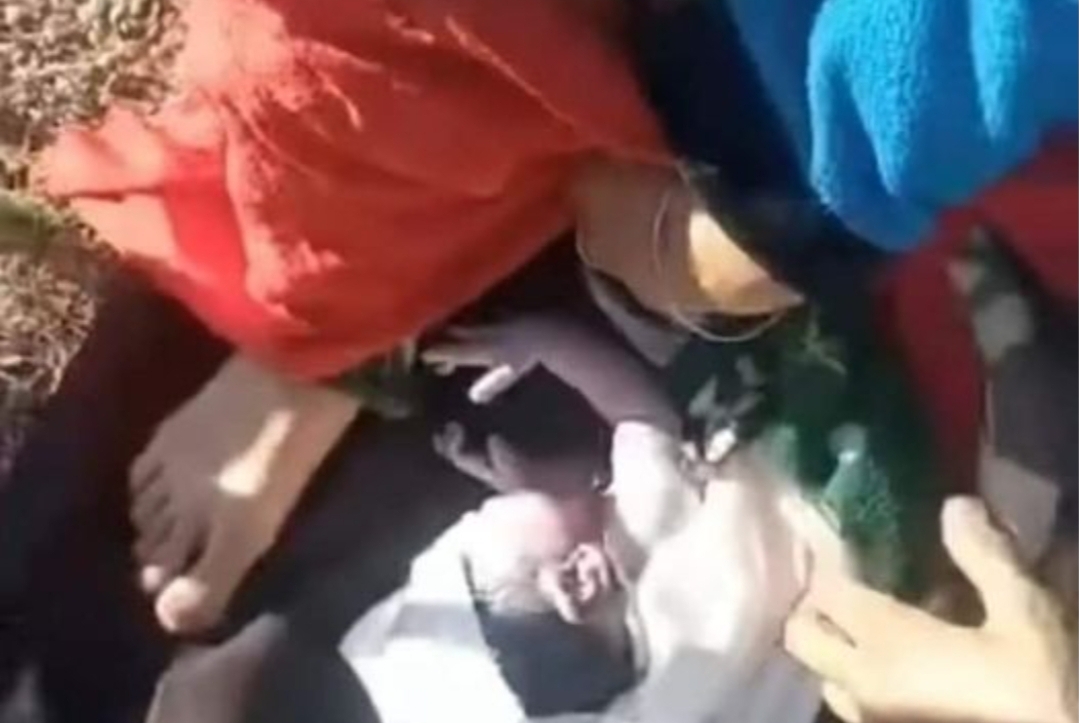 فيديو بأسلوب المافيا :      وزارة الصحة تجبر سيدة مستضعفة أنجبت في حديقة المستشفى على الإنكار !!