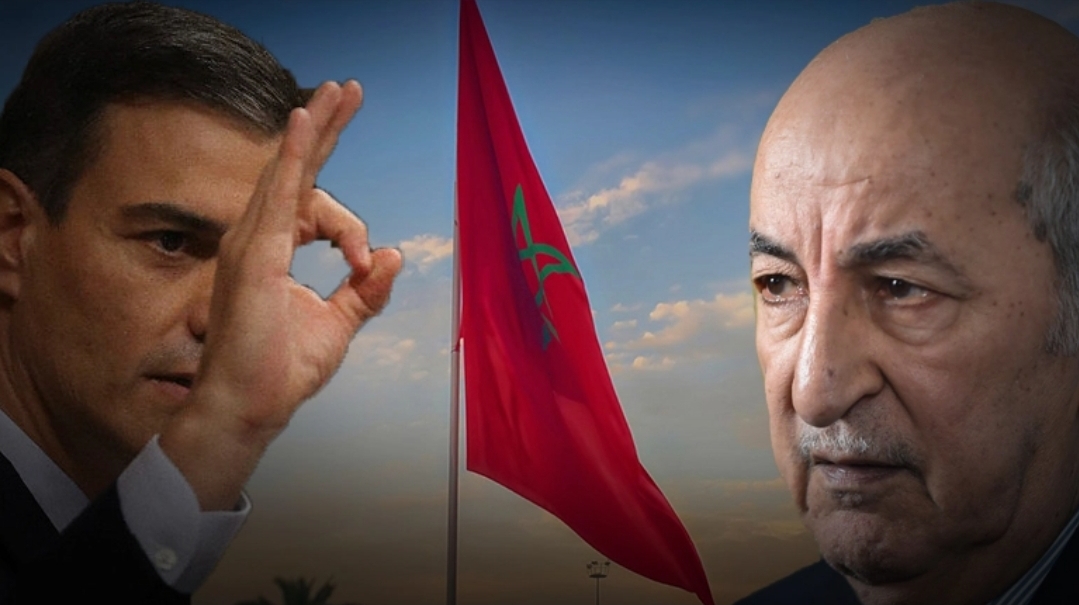 تبون الغبي الذي تم تنصيبه على رأس أكبر كتلة من الأغبياء :       علاقة الجزائر بالمغرب وصلت إلى اللا عودة ، وموقف إسبانيا من قضية الصحراء قرار فردي لسانشيز