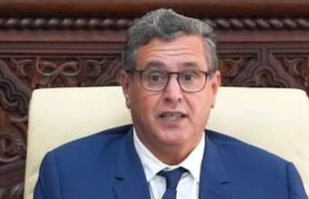 أخنوش يغالط الشعب  :     تموين الأسواق يتم في ظروف مستقرة وسعر اصناف من السمك يتراجع إلى 5 دراهم بالدار البيضاء