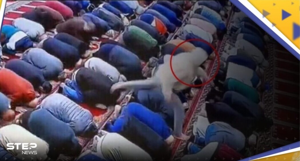 محاولة ذبح إمام مسجد خلال صلاة الفجر وخلفه 200 مصلي