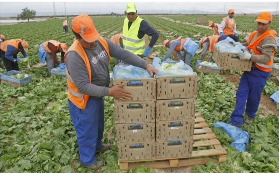 توقيف عصابة بتولوز يقودها مغربي بتهمة النصب على عمال موسميين مغاربة بفرنسا في مبالغ مالية كبيرة