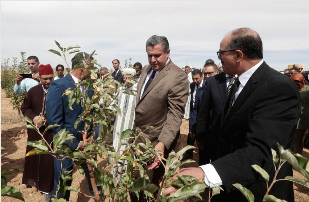 أخنوش يدافع عن “المخطط الأخضر” الفاشل ، الذي كلف الدولة 15000 مليار … ويكشف رصد 11000 مليار جديدة لما سماه الجيل الأخضر