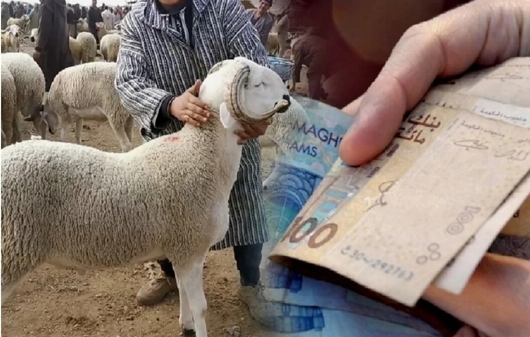 البرلمان يطالب تخصيص دعم إستثنائي للمغاربة لشراء أضاحي العيد