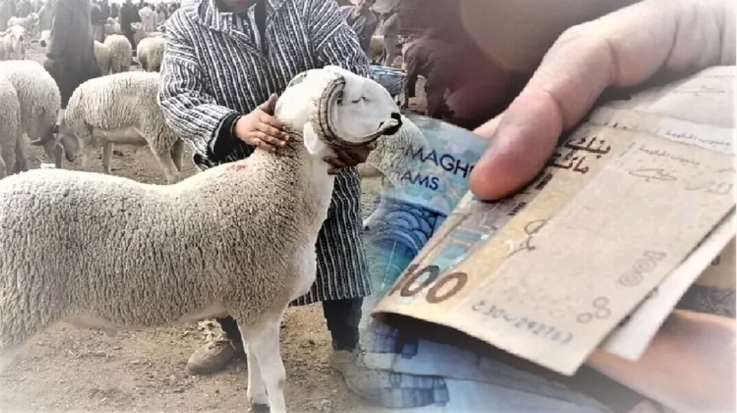 المغاربة يلتهمون 1800 مليار سنتيم في يوم عيد الأضحى