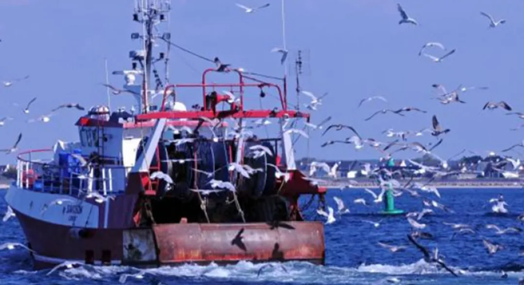 128 سفينة صيد ستغادر المياه المغربية … الإتحاد الأوروبي يقر بصعوبة التفاوض مع المغرب على تمديد اتفاقية الصيد البحري