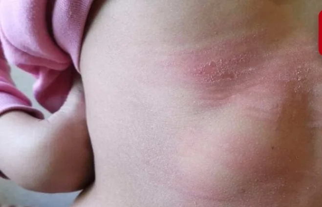 محكمة الناظور تبرئ معلم تحرش بتلميذته بزايو وأدخل قضيب بلاستيكي في مؤخرتها