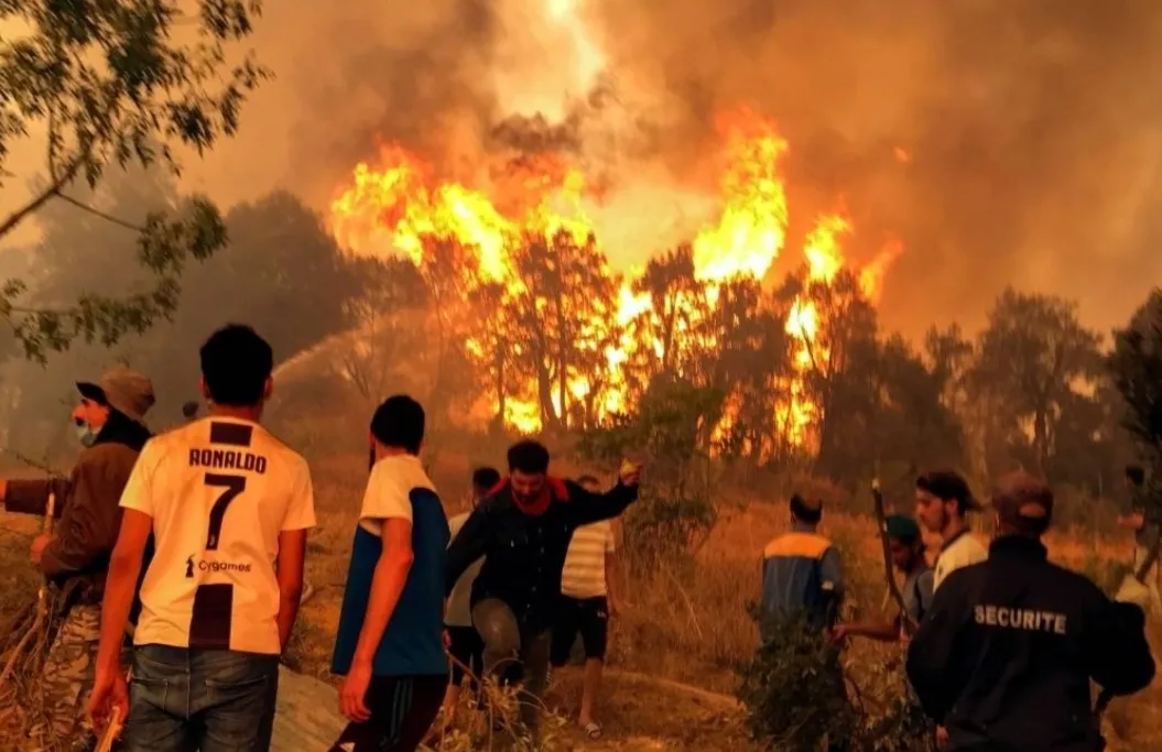 قد يتهم فيها المغرب مجددا من طرف النظام البليد … حرائق شاسعة ومهولة في الجزائر تخلف عدة قتلى