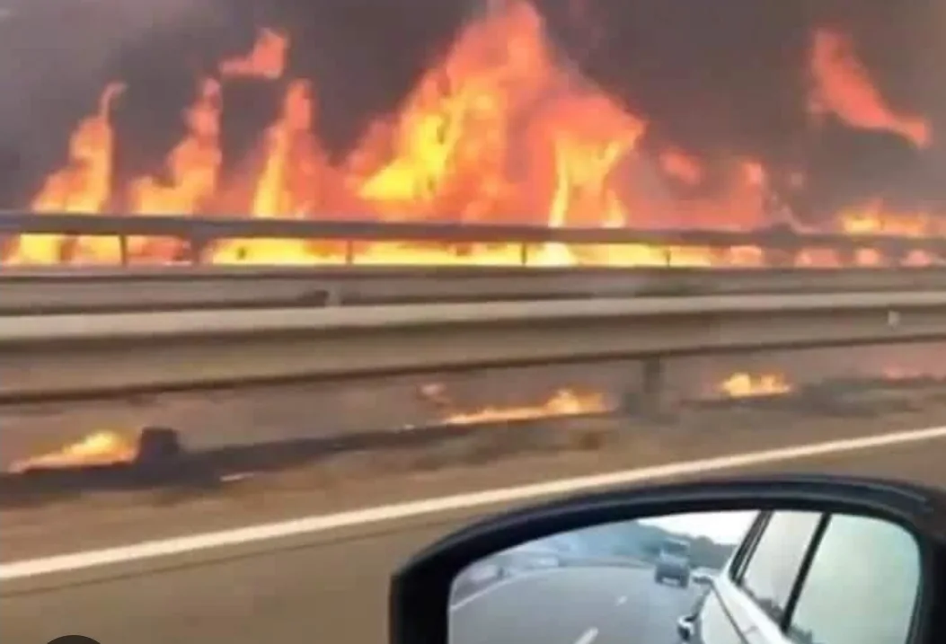 إجلاء العشرات وقطع الطريق السيار إثر حرائق غابات اندلعت بالحدود مع فرنسا