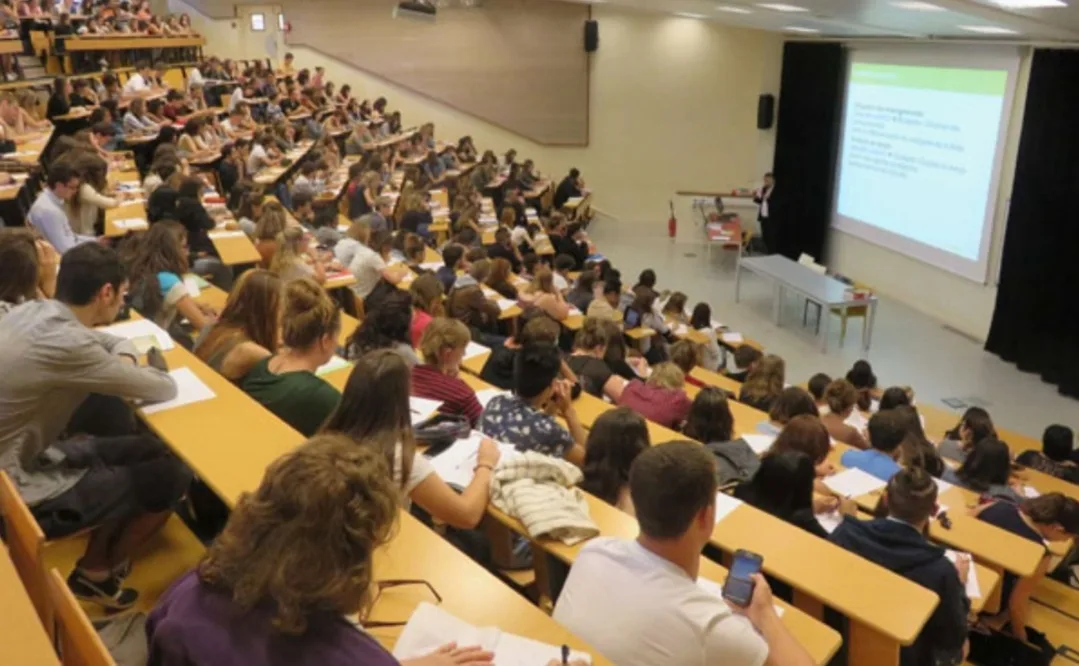 نهاية سلك الإجازة المهنية بالجامعات وتعويضه بمسارات التميز