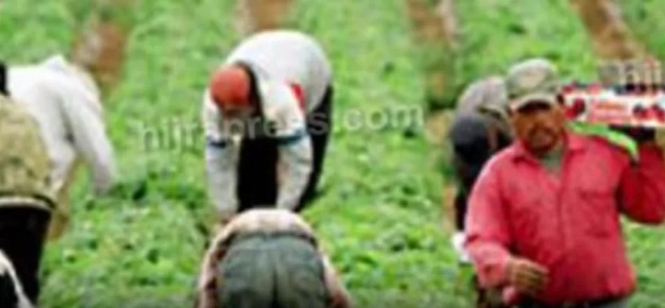 ضمنهم مغاربة … إيطاليا تعطي الضوء الأخضر لدخول 40 ألف عامل أجنبي