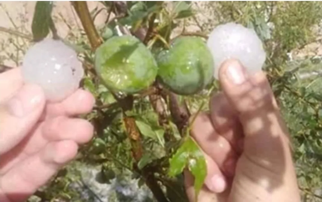 ساكنة بولمان وميسور تنتظر قدوم لجن حكومية لعد خسائرهم الفادحة بسبب “التبروري”