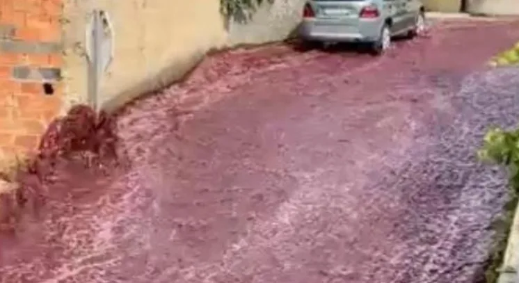 فيديو :     وديان من الخمور في شوارع مدينة برتغالية