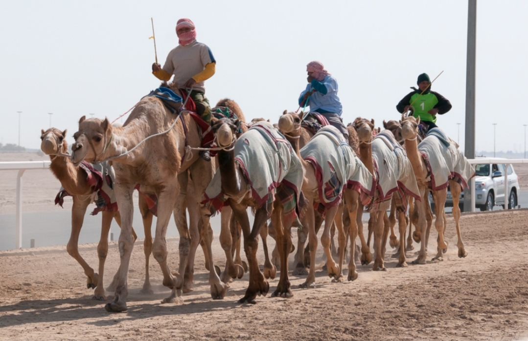 بنسليمان يرغب في إستقطاب 150 مليون سائح إلى السعودية سنويا