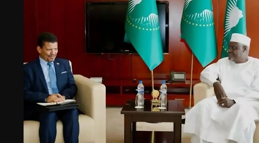 البوليساريو مرعوبة من إمكانية إدانتها من طرف مجلس الأمن لخرقها اتفاق وقف إطلاق النار بالصحراء