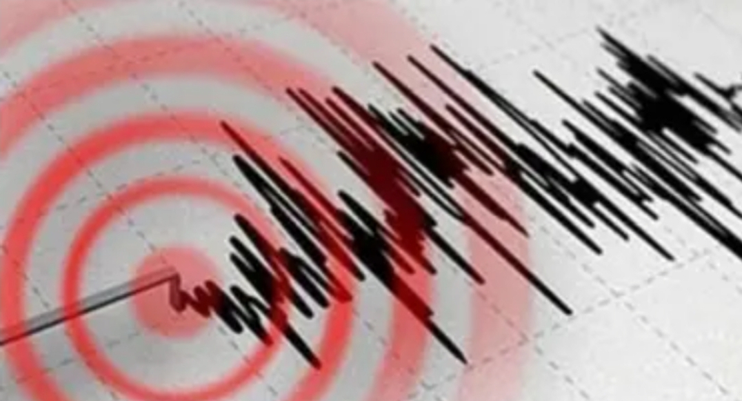 عاجل :    الأرض تتحرك مجددا تحت أقدام ساكنة مراكش والنواحي