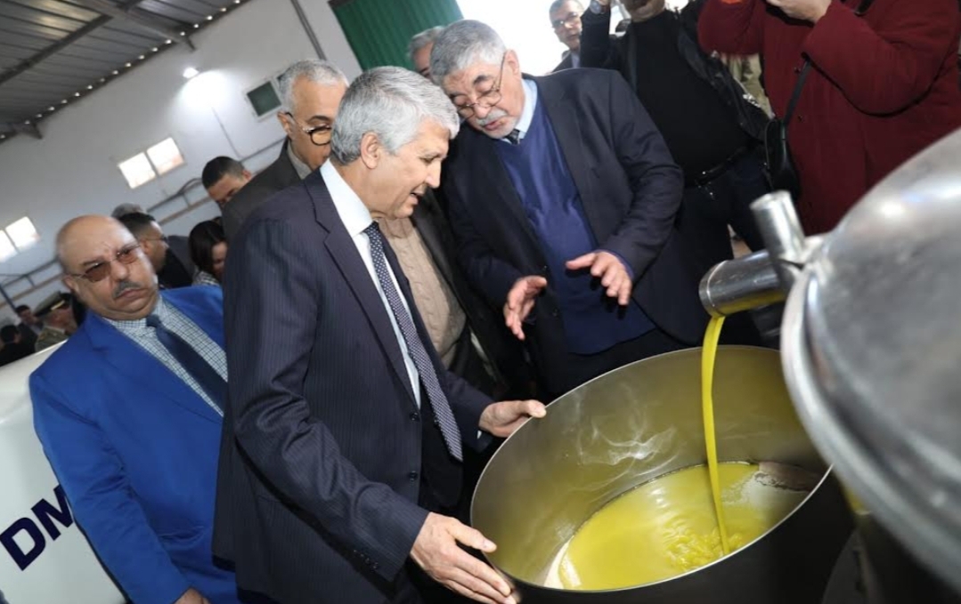 “شتان بين التمني والواقع” … وزير الفلاحة :     نأمل أن لا يتجاوز ثمن زيت الزيتون 90 درهم !