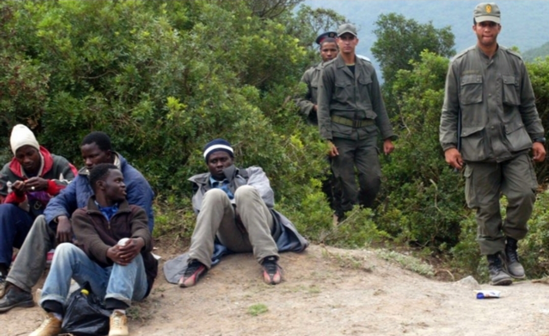 السلطات توقف أزيد من 200 مهاجر سري بغابات لفنيدق