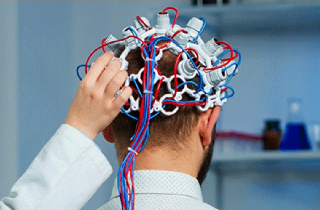 “ميزاجوغ” :     إحداث مركز لتأهيل وترويض أمخاخ سجناء التطرف الديني بالمغرب