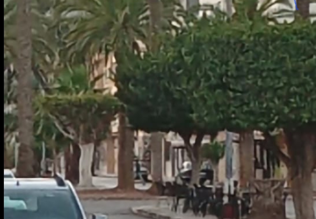 رسالة غريبة تصل باشا الناظور الذي لا يفقه القانون … رئيس الهلال الأحمر المحلي يأمره بقطع الأشجار من شارع عمومي يحتله !!