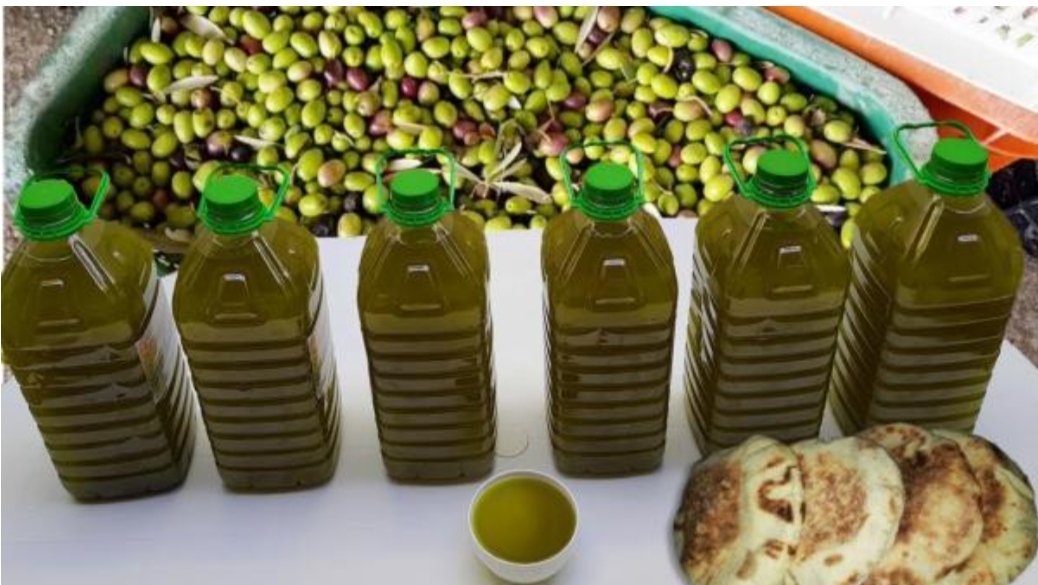 الوكالة الإخبارية الرسمية للدولة ترجع أسباب غلاء الزيت والزيتون في المغرب للسماسرة