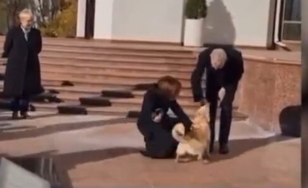 فيديو :    كلب رئيسة مولدافيا يهاجم رئيس النمسا ويتسبب له في جروح … والأخير يرد :   أتفهم الحالة النفسية للكلب !