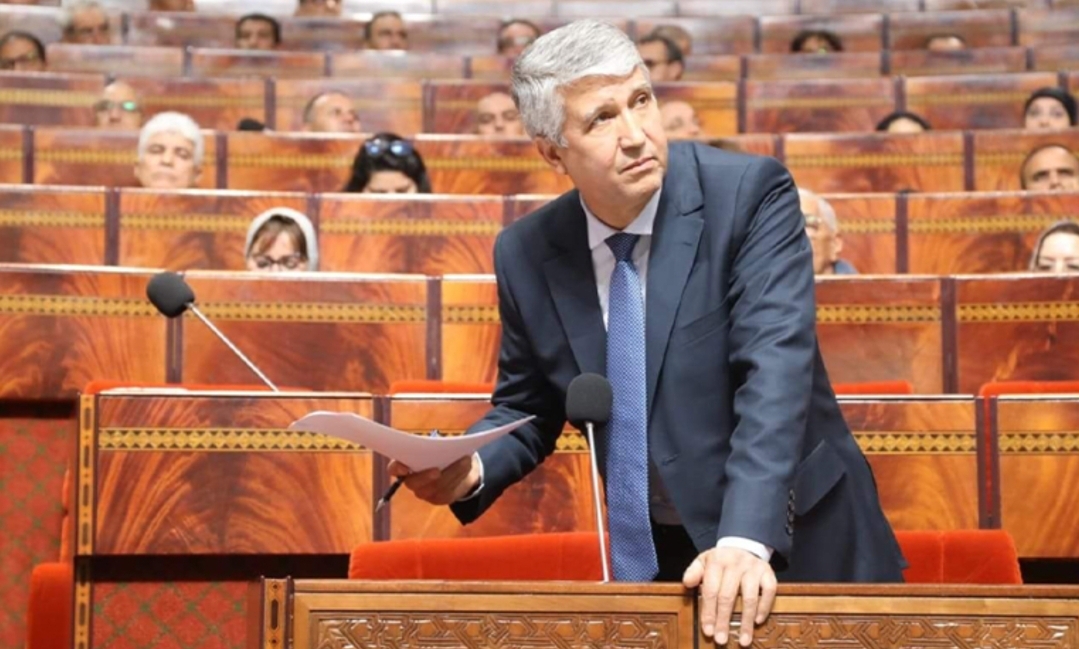 وزير الفلاحة يبرئ “لصوص الأسواق من السماسرة” ويحمل غلاء زيت الزيتون لشح السماء !