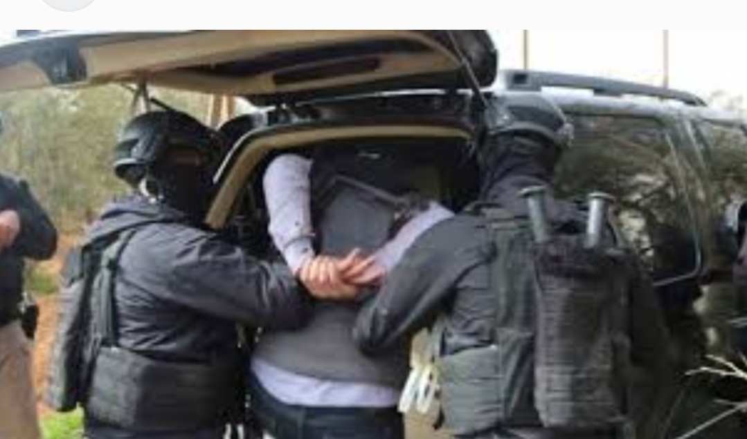 فرقة مكافحة العصابات بالناظور تسقط تاجر الكوكايين بسلوان