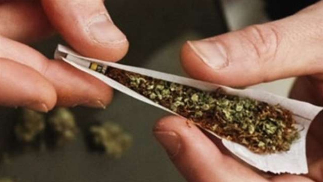 تكوين الأطباء والصيادلة لمنح رخص استعمال مخدر الكيف للمغاربة