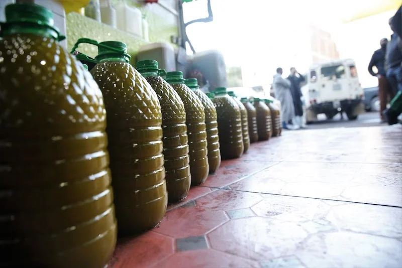 زيت الزيتون يصل إلى 100 درهم للتر.. نائبة برلمانية تتهم “الوسطاء” وتدعو وزير الفلاحة إلى التدخل
