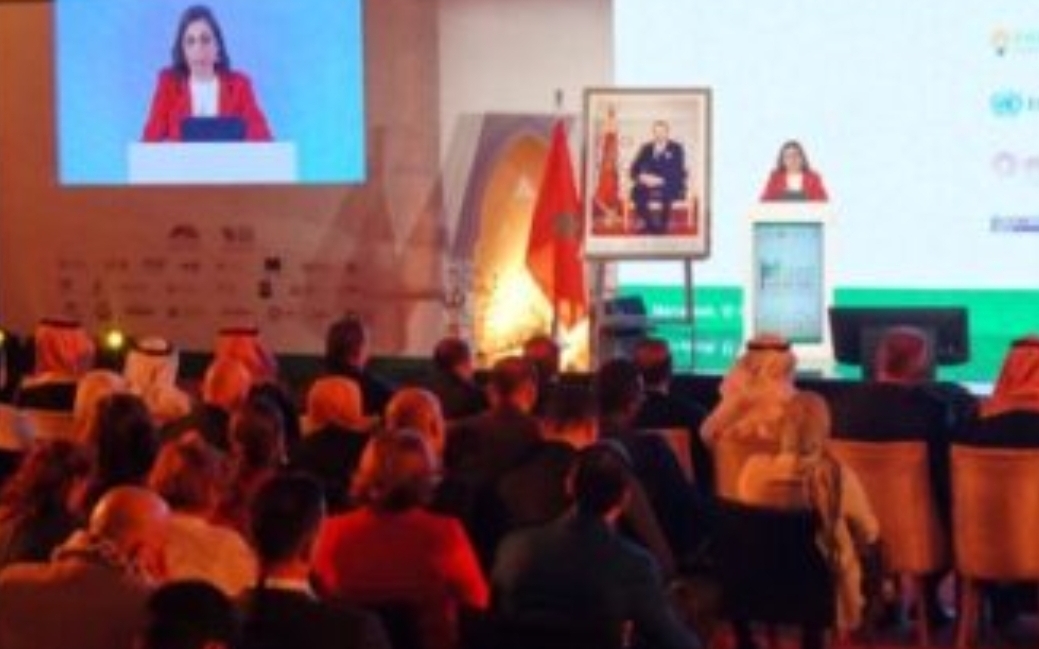 لا يقوون على فعل ذلك في بلدهم … مشاركون من مصر يطردون أستاذة جامعية مغربية من داخل قمة أقيمت في بلدها ، لديانتها !