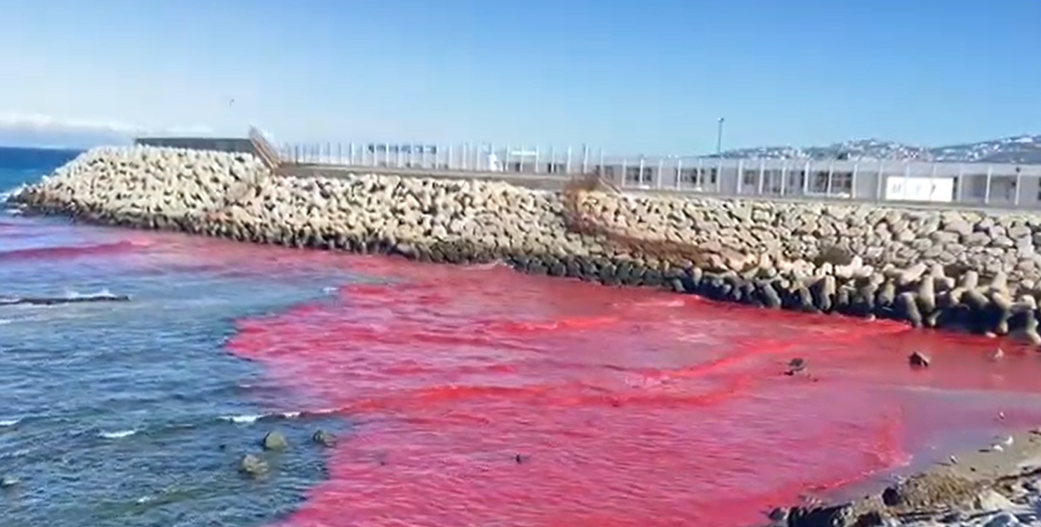 قلق عميق في طنجة بعد كارثة بيئية ودعوة لتحقيق فوري وتطبيق إجراءات قانونية