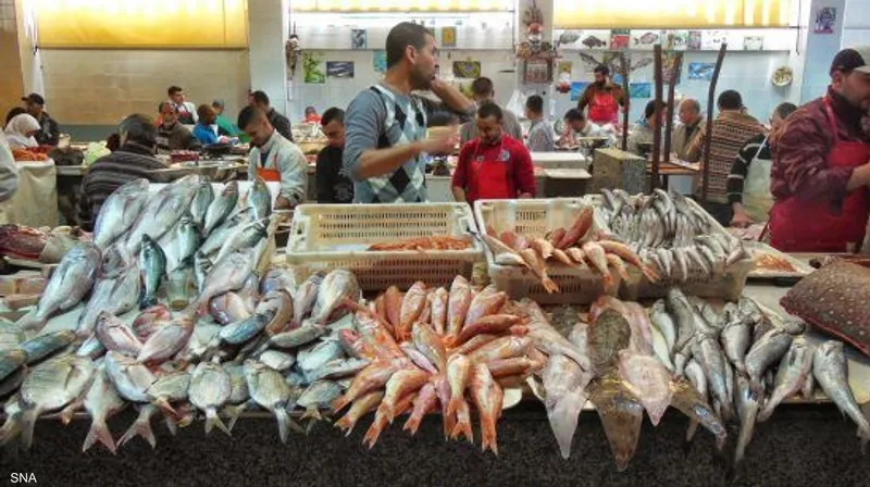 تجار الأسماك يطالبون بخفض أسعار المحروقات لتوفير السمك بأسعار معقولة في رمضان