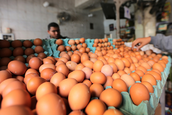 “تجار البيض” يبتزون الدولة للحصول على  إعفاءات ضريبية ليقوموا بتخفيض الأسعار قبل رمضان