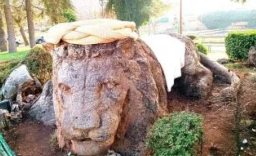 أسد إفران يتزين بالجلباب و”الرزة” الأمازيغيين احتفالات بالسنة الأمازيغية الجديدة