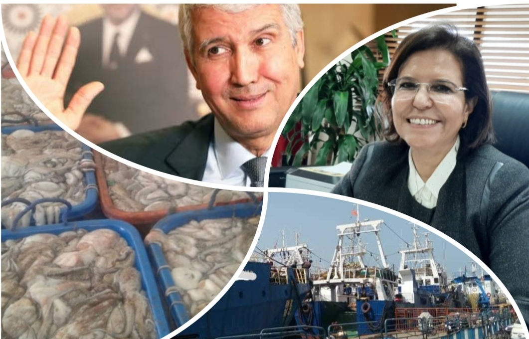 الحقيقة المؤلمة :   لأزيد من عقد من الزمن، ورئيس الحكومة يحمي عرش السيدة الدريوش في مستنقع إفساد الصيد البحري بالمغرب !
