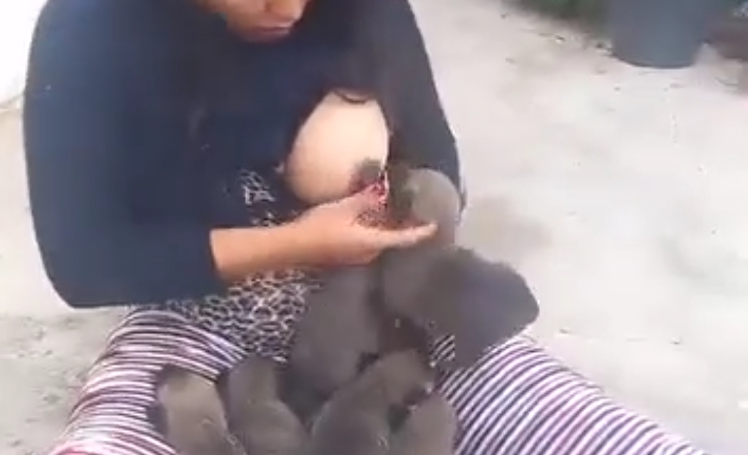 الدرك الملكي بتاونات يستمع إلى سيدة كانت ترضع كلاب