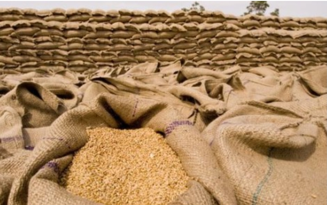 الحكومة تصادق على مشروع يخص عمليات استيراد “القمح ولفول”
