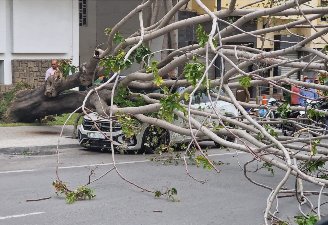 الرياح القوية تقتل سيدة بطنجة