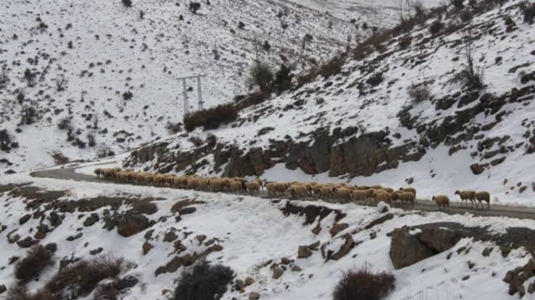 نشرة إنذارية :   تساقطات ثلجية ورياح قوية مرتقبة اليوم الثلاثاء بالمغرب