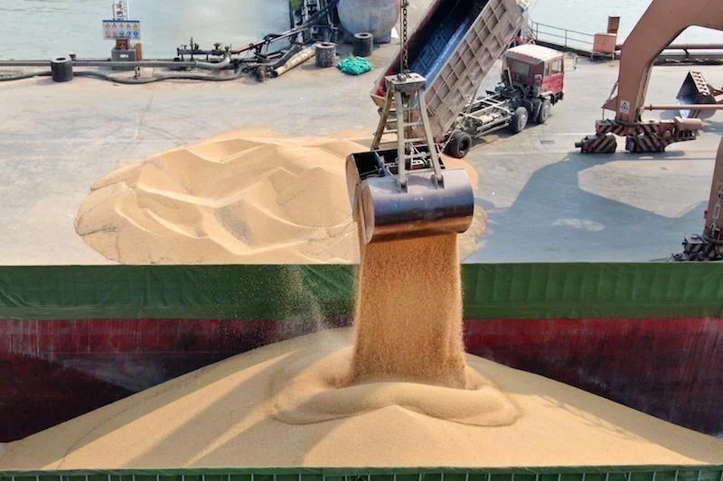 الخضر مقابل القمح .. سياسة متناقضة أم ضرورة اقتصادية؟