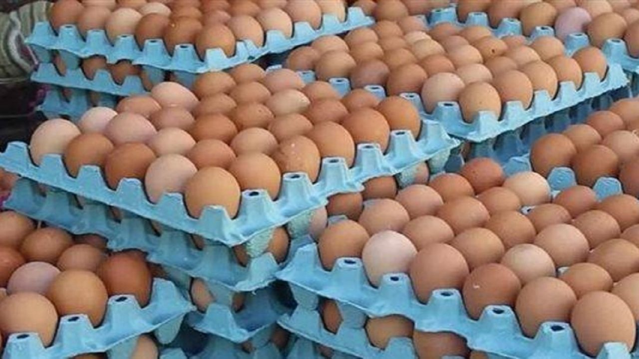 إستمرار ارتفاع أسعار البيض في الأسواق المغربية